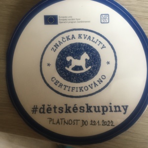 Audit značky kvality pro Mickeyho mikrojesle a školku, Dětskou skupinu z.s.